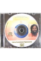 international-peace-congress-2