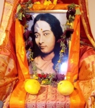 Our Ashram Newsletter, February 2020