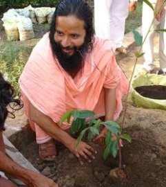 The Meaning of "Ashram"