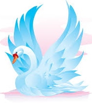 Our Ashram Newsletter, January 2020