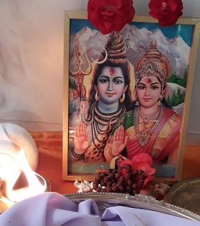 Our Ashram Newsletter, March 2020