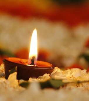 Our Ashram Newsletter, November 2019