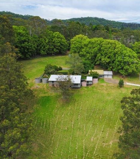 Welcome to Our New Ashram!