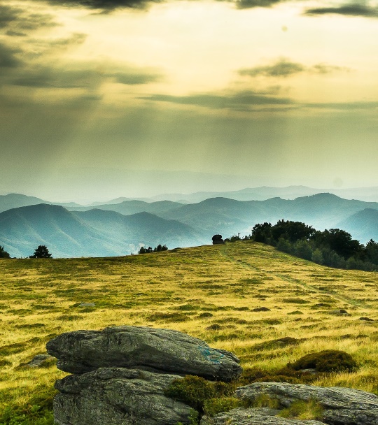 What is the difference between Calmness and Divinity?