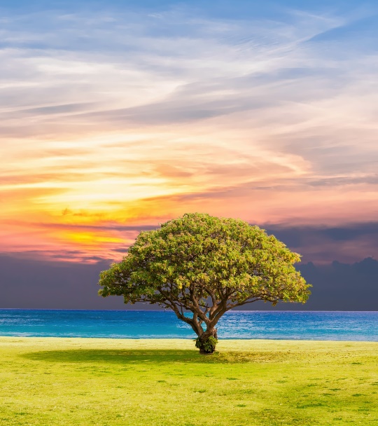 Yoga for a Perfect Life